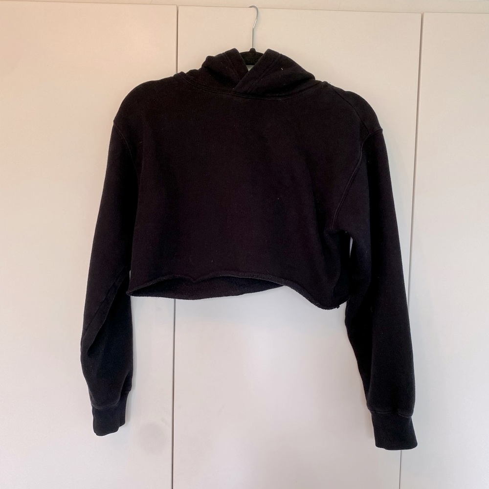 Aritzia Perfect Cropped Hoodie